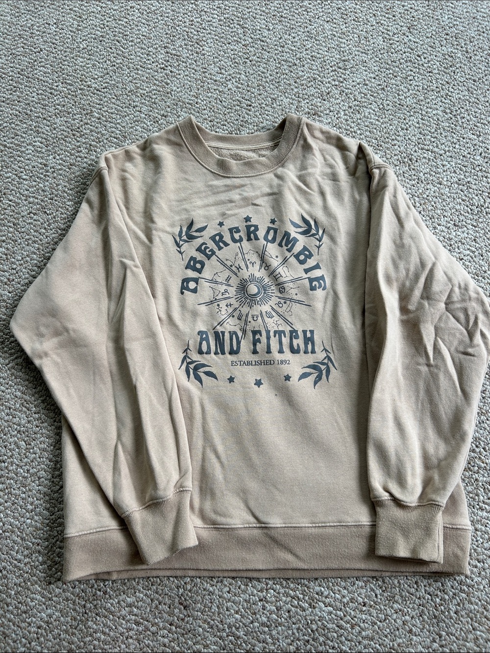 Abercrombie and Fitch Crewneck Sweatshirt